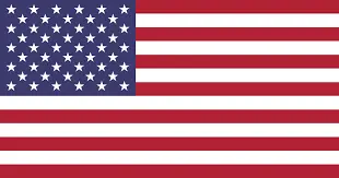 american flag-Taylor