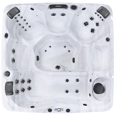 Avalon EC-840L hot tubs for sale in Taylor