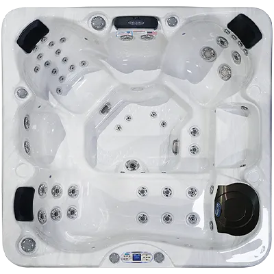 Avalon EC-849L hot tubs for sale in Taylor